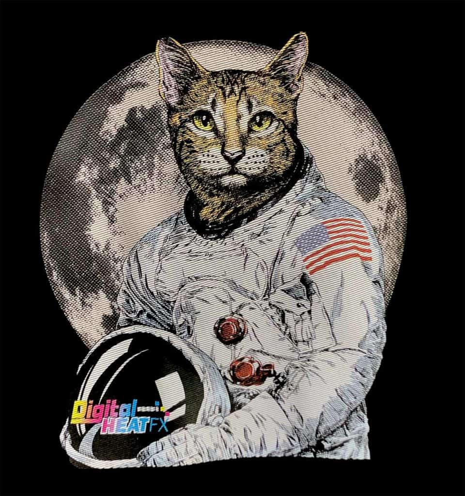 cute cat image showing stripes print mode