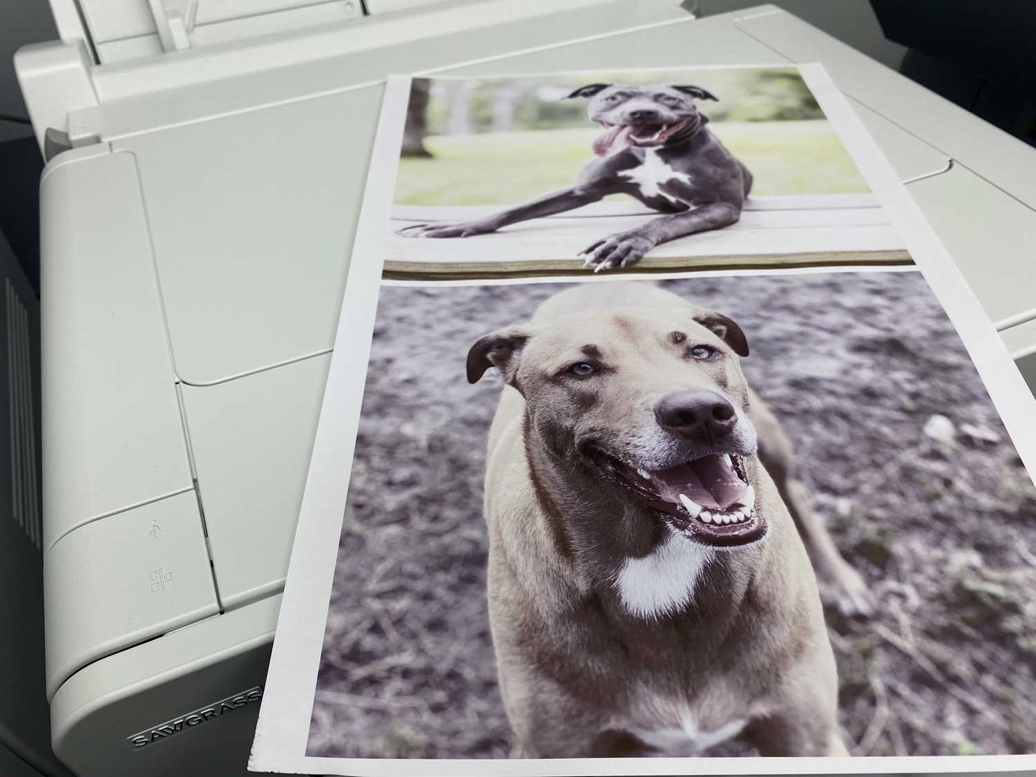 sublimation printing
