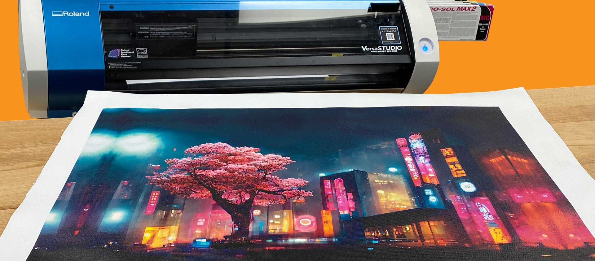 Roland_Canvas_wrap_banner