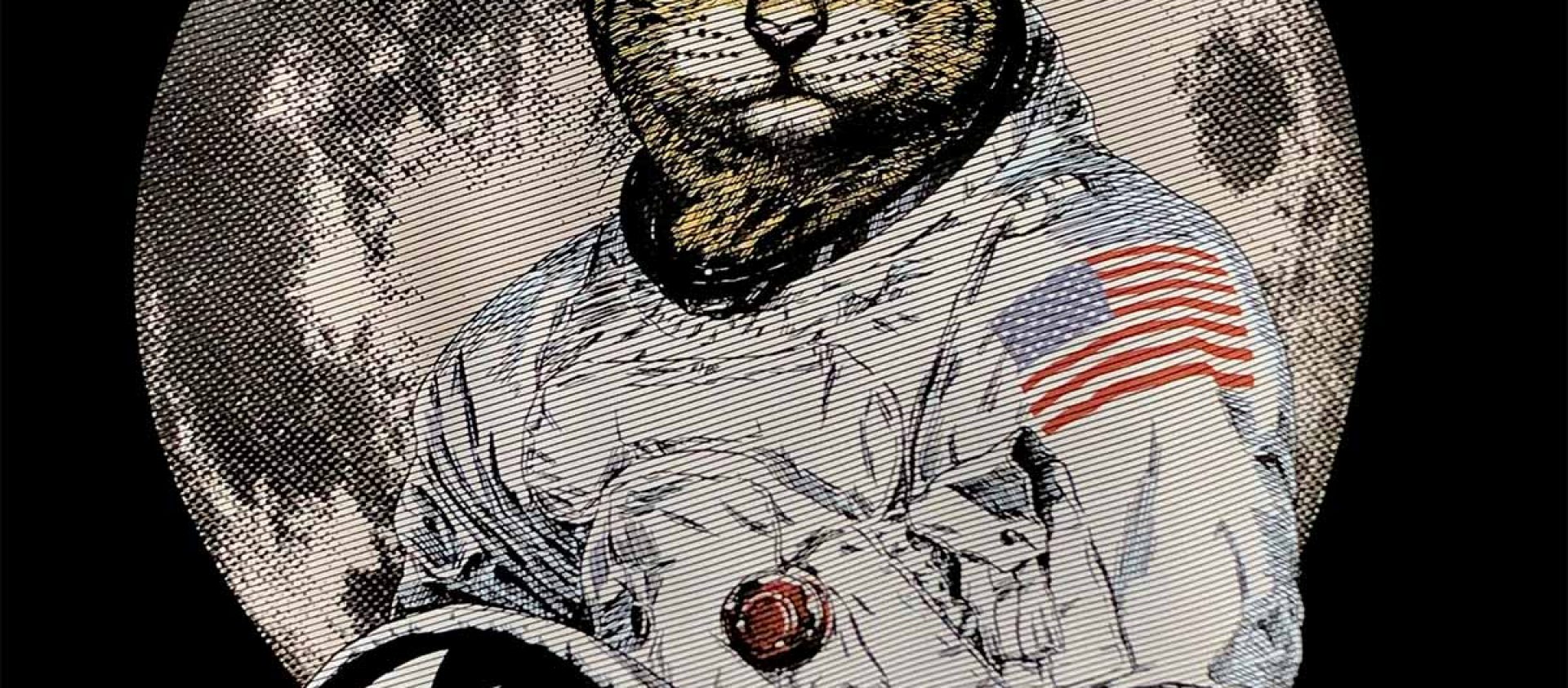 cute cat image showing stripes print mode